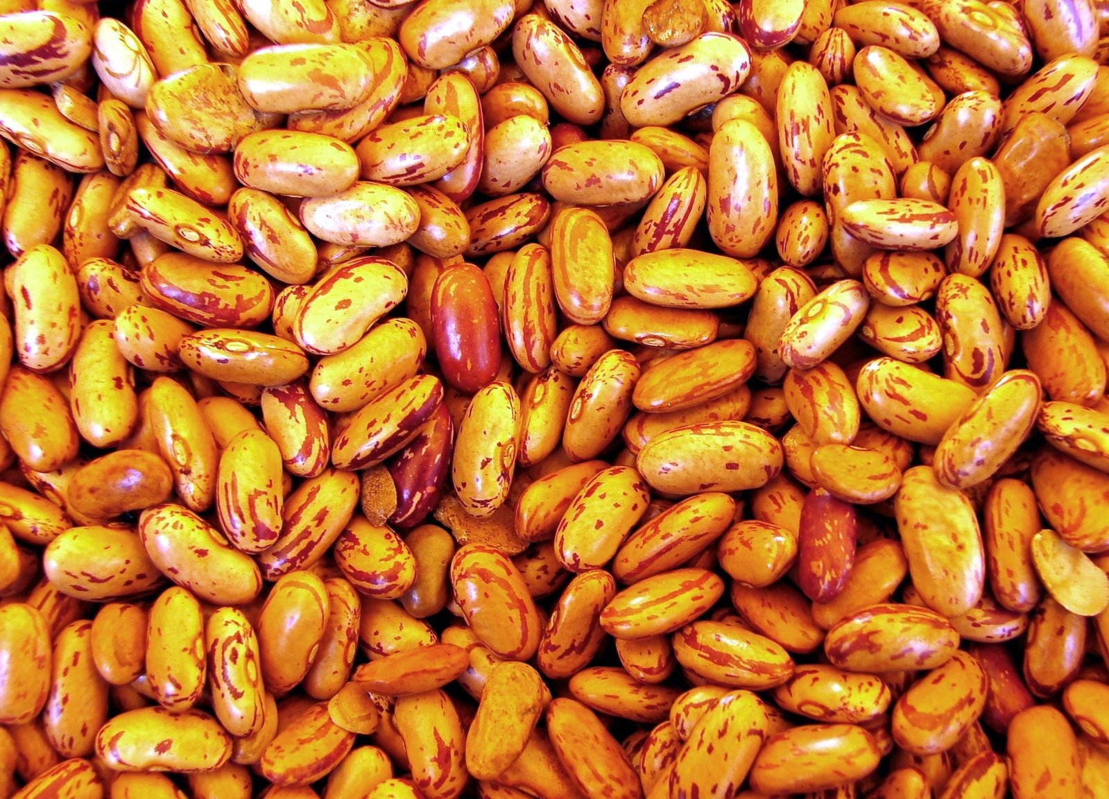 Frozen Beans 500g